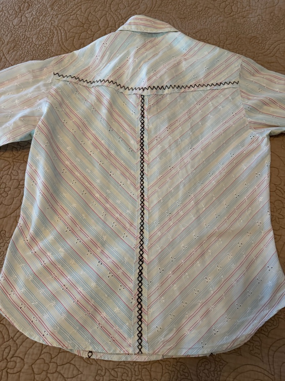 Cruel Girl Western Style Embroidered Snap Shirt Pastel Stripe Eyelet Rodeo, Sz L - Picture 8 of 14